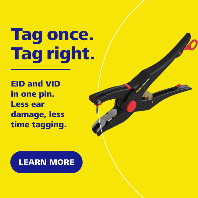 ZTAGS NZ INT Generic mobile banner Oct26