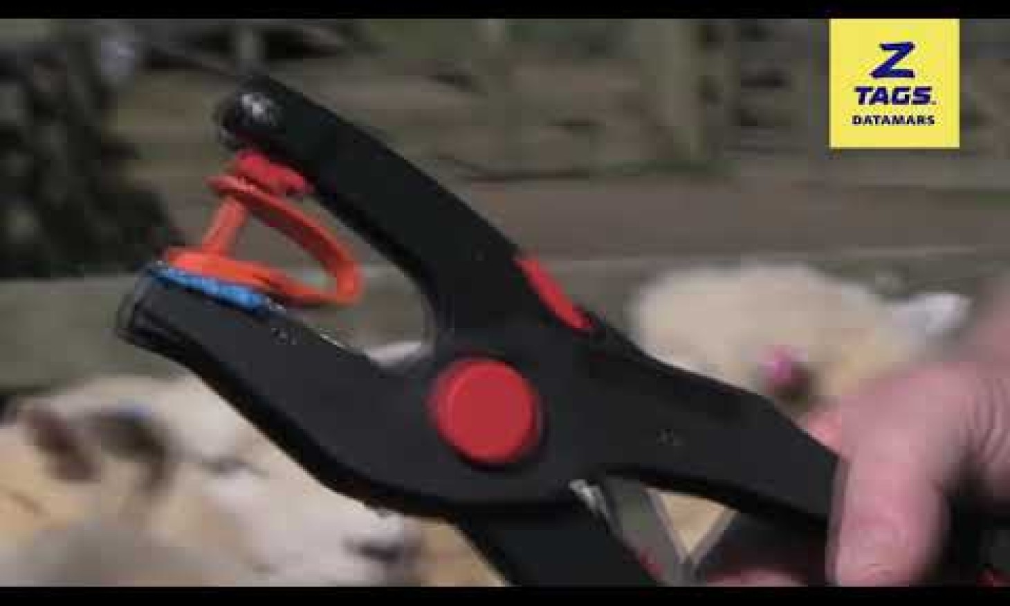 Resource Hub | Z Tags